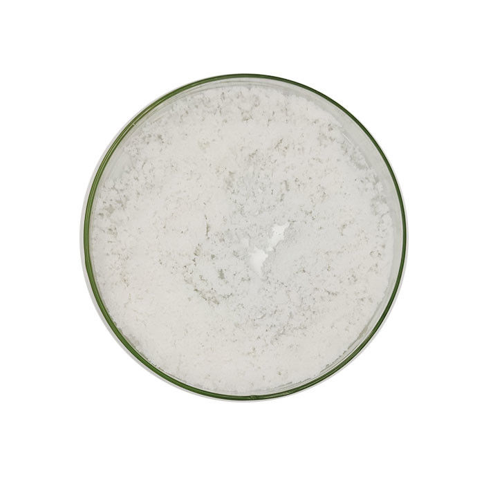 CAS 556-88-7 Poudre de nitroguanidine en fûts de matières premières synthétiques