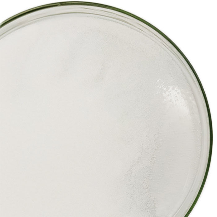 CAS 556-88-7 Poudre de nitroguanidine en fûts de matières premières synthétiques