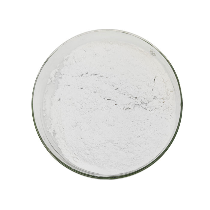 Tube 25g Ester Dibenzoyl Peroxide liquide blanche BPO 94-36-0 de catalyseur de 75%
