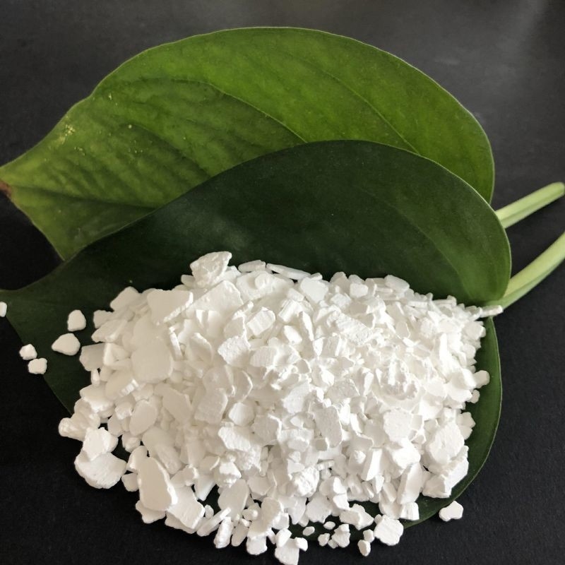 CrystalBoost Chlorure de calcium Crystal Growth Enhancer améliore la croissance des cristaux dans les processus chimiques et la fabrication.