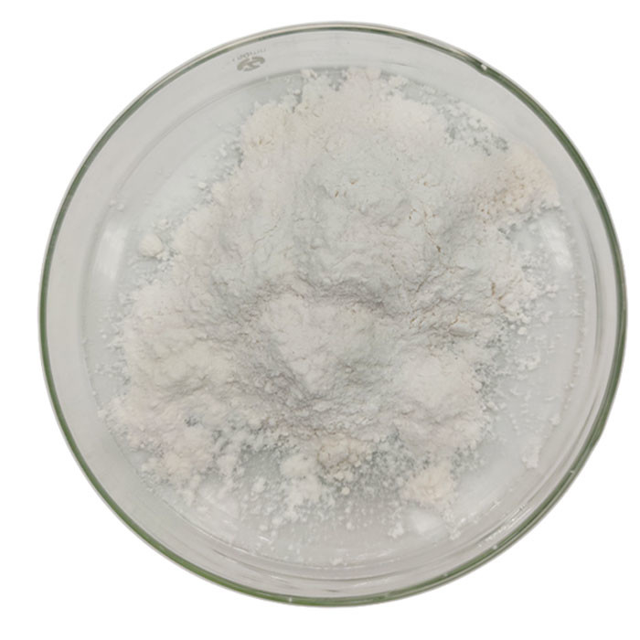 Hexamétaphosphate de sodium en poudre par amende industrielle de CAS 10124-56-8 SHMP